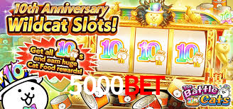 5000Bet